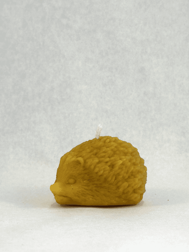 Kaars Egeltje